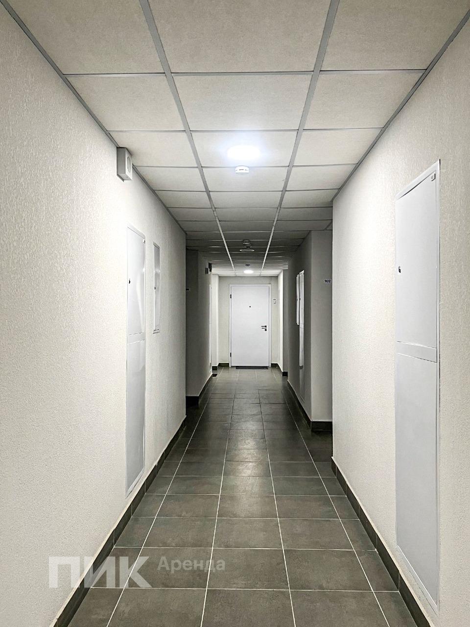 1-к. квартира, 33.5 м², 66 300 ₽/мес — фото № 13