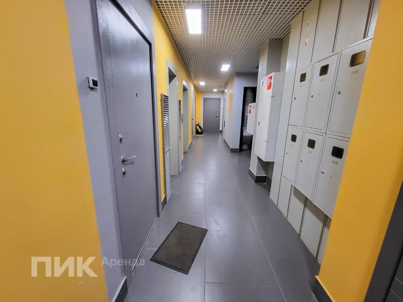 2-к. квартира, 47 м², 56 200 ₽/мес — фото № 16