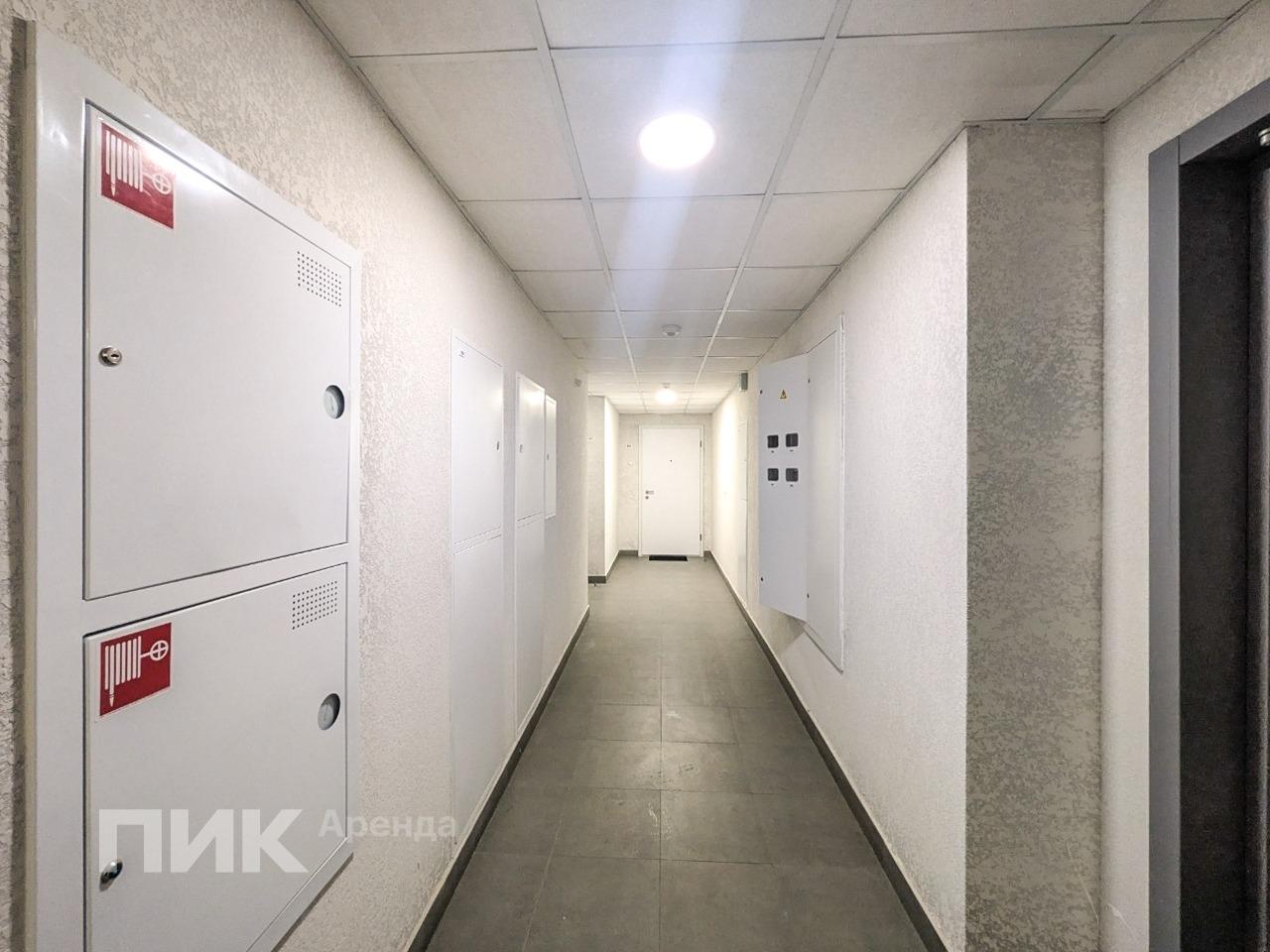 2-к. квартира, 53.3 м², 53 100 ₽/мес — фото № 14