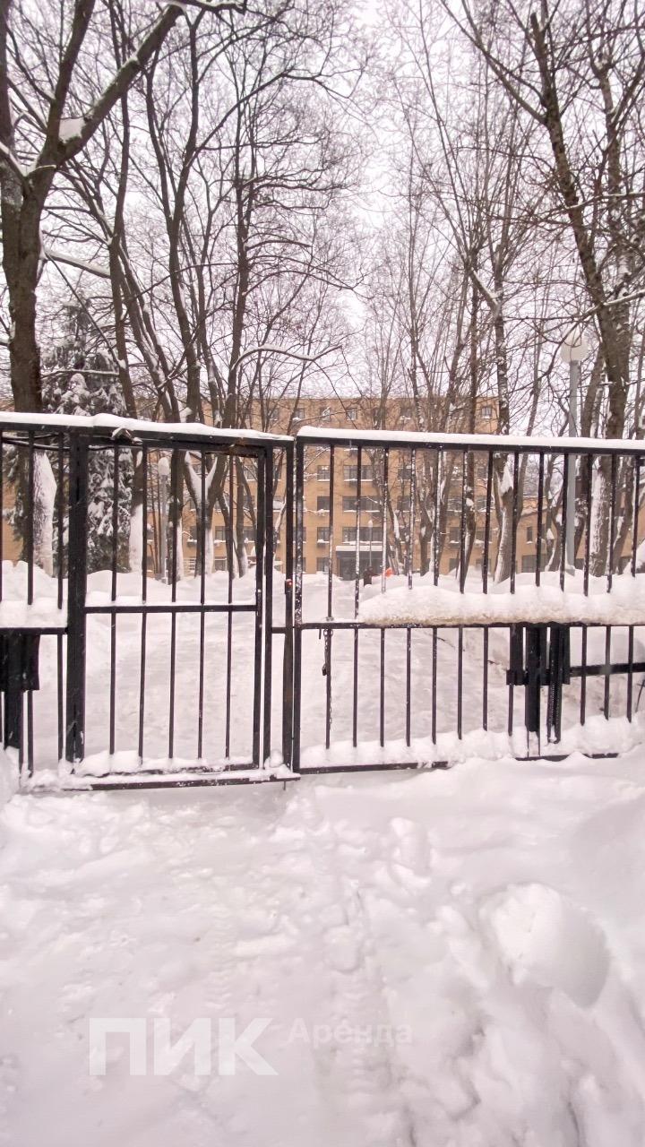 1-к. квартира, 17 м², 55 000 ₽/мес — фото № 15