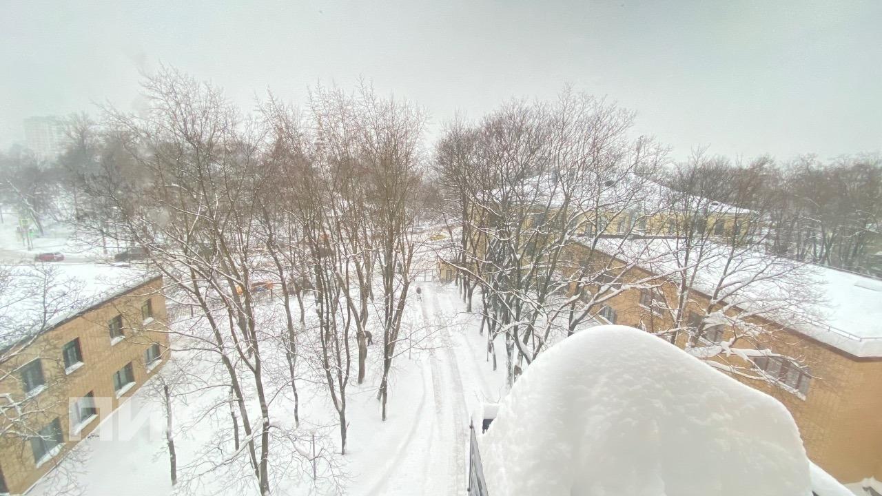 1-к. квартира, 17 м², 55 000 ₽/мес — фото № 11