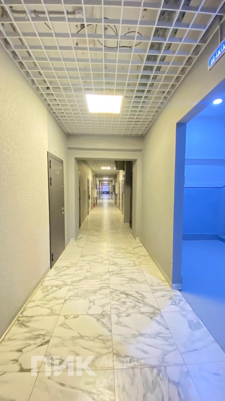 1-к. квартира, 17 м², 55 000 ₽/мес — фото № 8