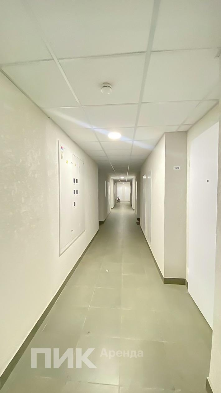 1-к. квартира, 32 м², 62 400 ₽/мес — фото № 13