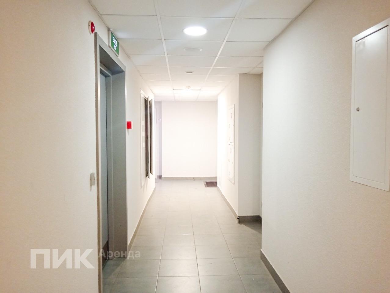 1-к. квартира, 33.5 м², 73 000 ₽/мес — фото № 13