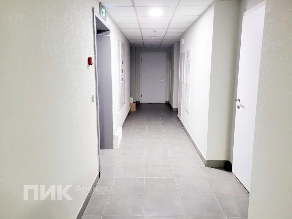 2-к. квартира, 53.3 м², 89 900 ₽/мес — фото № 16