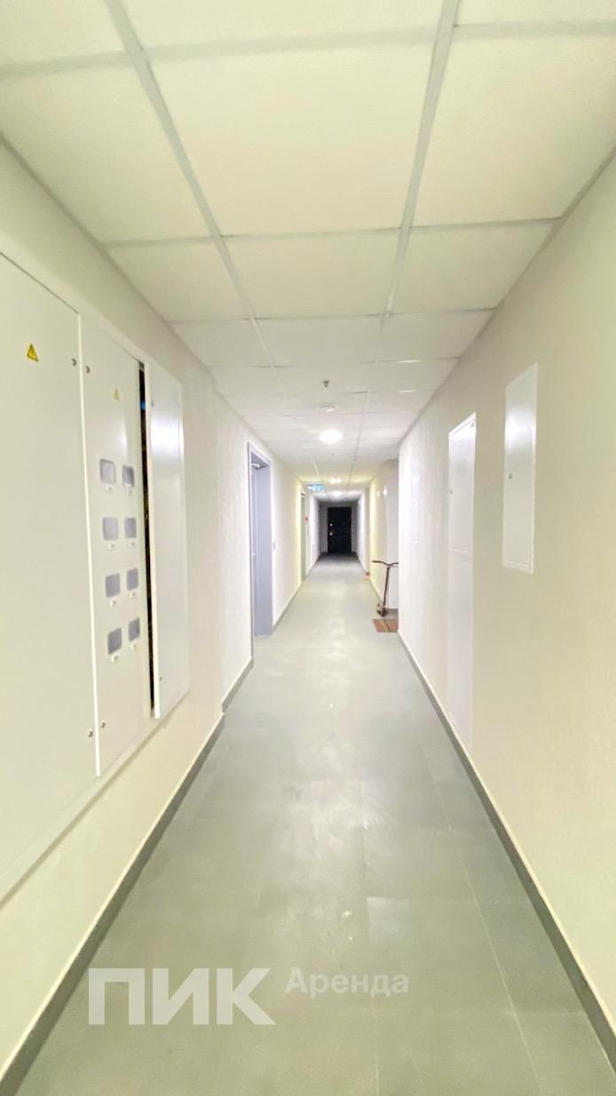 1-к. квартира, 35.6 м², 60 000 ₽/мес — фото № 13