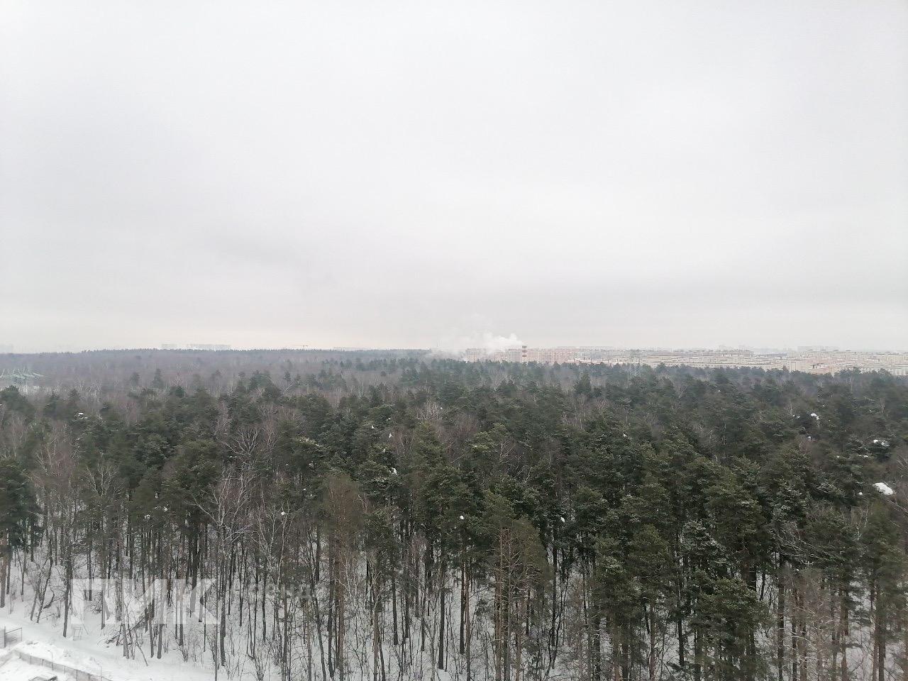 1-к. квартира, 45 м², 47 800 ₽/мес — фото № 16