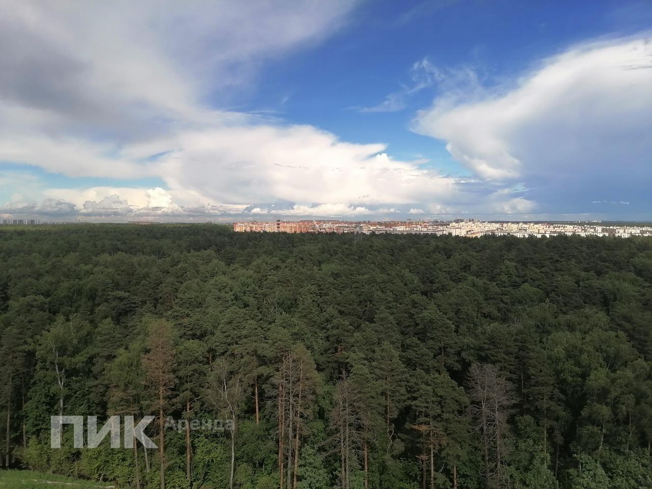 1-к. квартира, 45 м², 45 000 ₽/мес — фото № 16