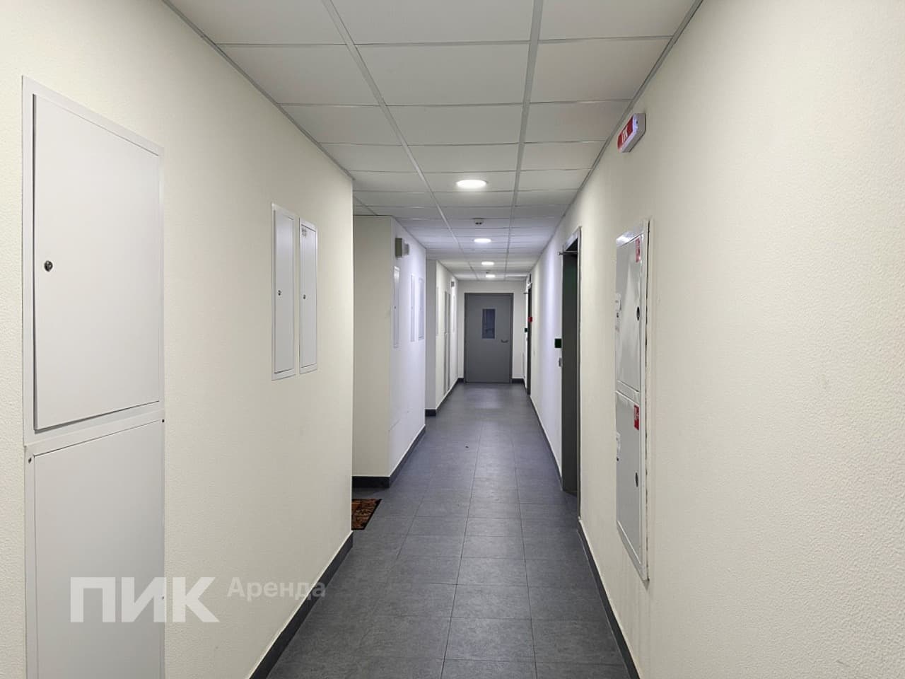 студия, 22 м², 58 300 ₽/мес — фото № 11