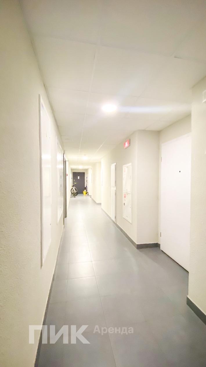 студия, 20 м², 56 200 ₽/мес — фото № 7