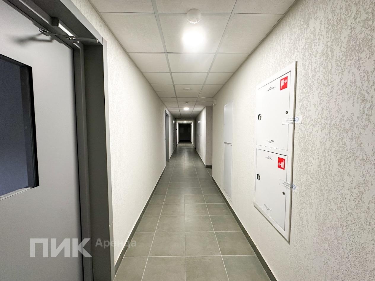 1-к. квартира, 31.9 м², 72 000 ₽/мес — фото № 12