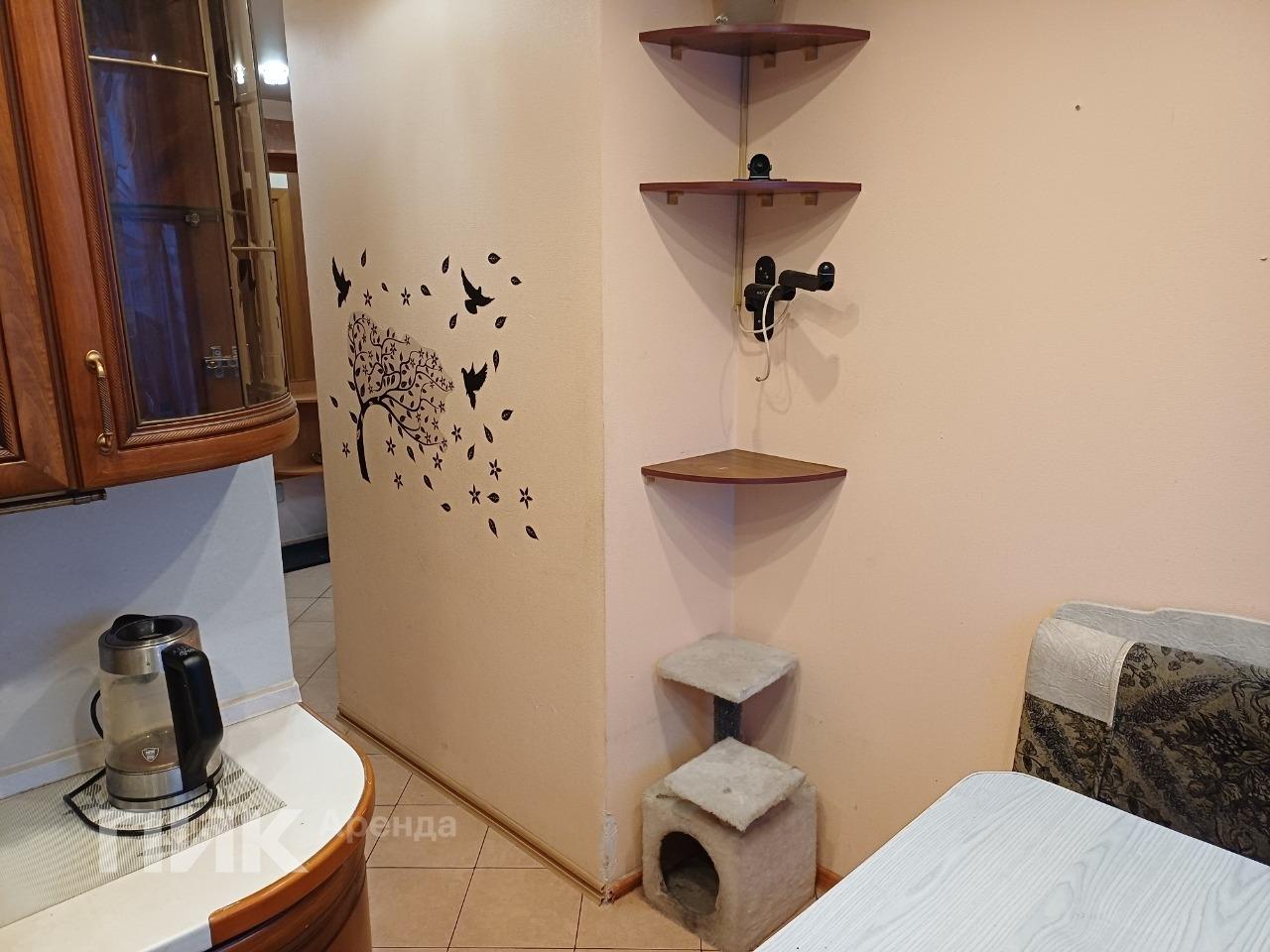 2-к. квартира, 49 м², 42 600 ₽/мес — фото № 12