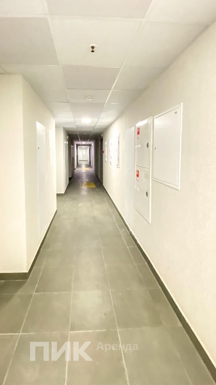 2-к. квартира, 45.6 м², 70 000 ₽/мес — фото № 13