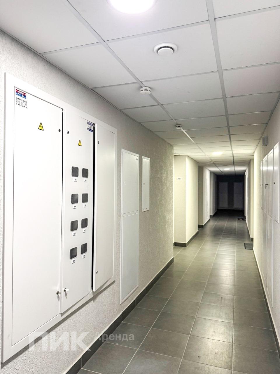 1-к. квартира, 33.5 м², 53 100 ₽/мес — фото № 12