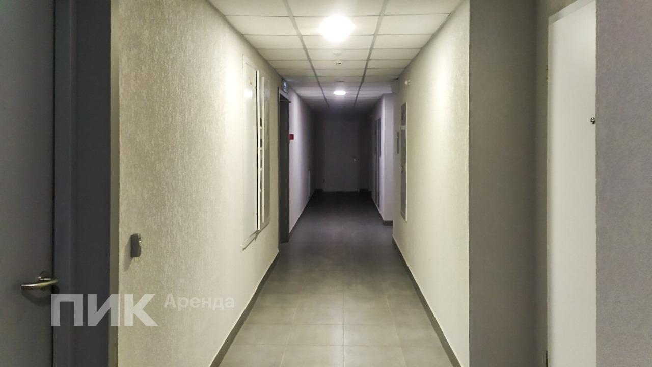 2-к. квартира, 54 м², 73 900 ₽/мес — фото № 19