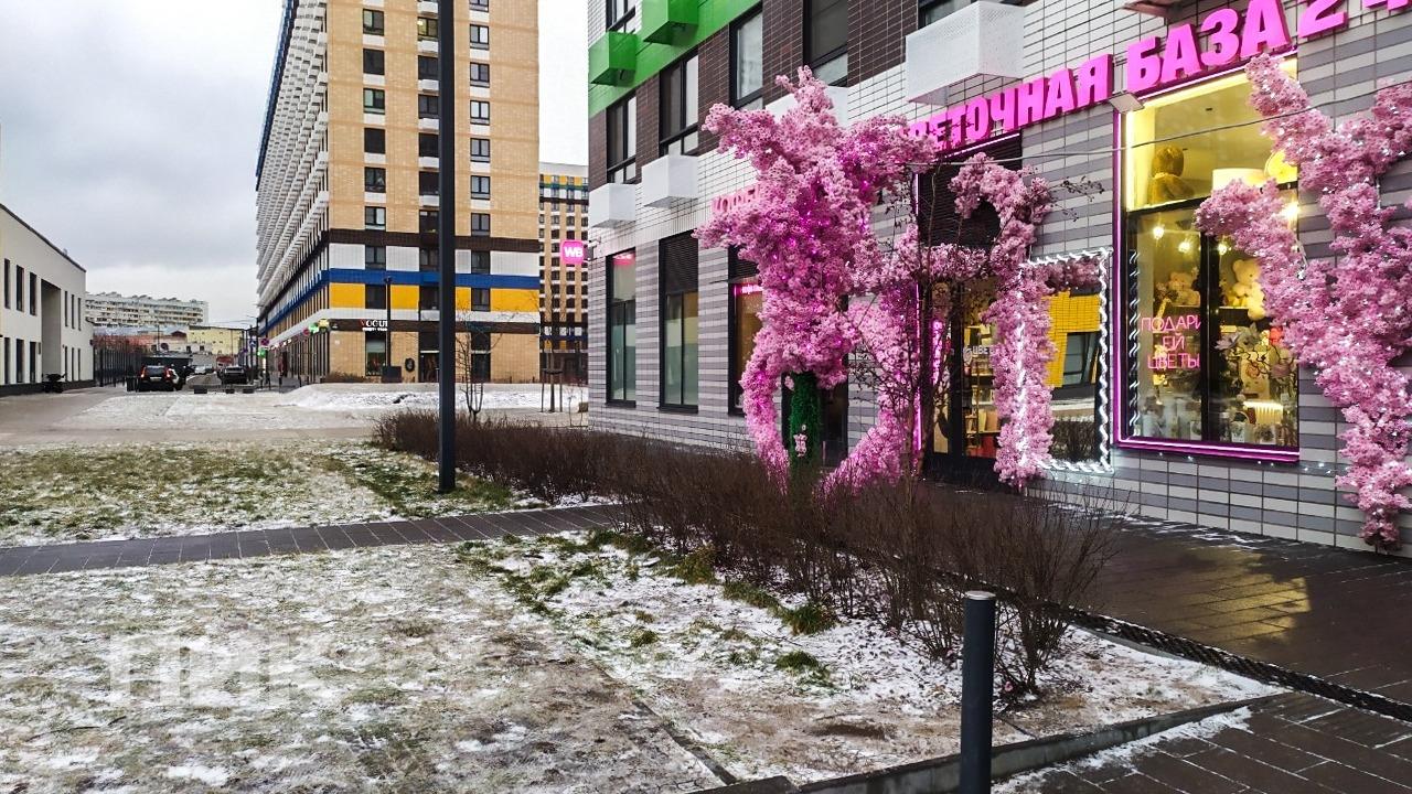 2-к. квартира, 54 м², 73 900 ₽/мес — фото № 25