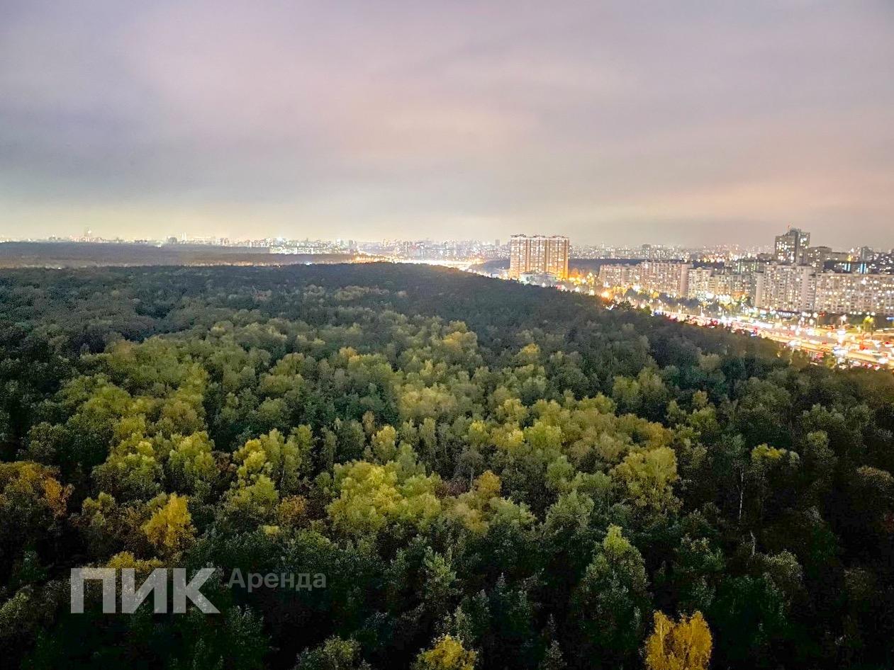 студия, 39.6 м², 70 000 ₽/мес — фото № 15