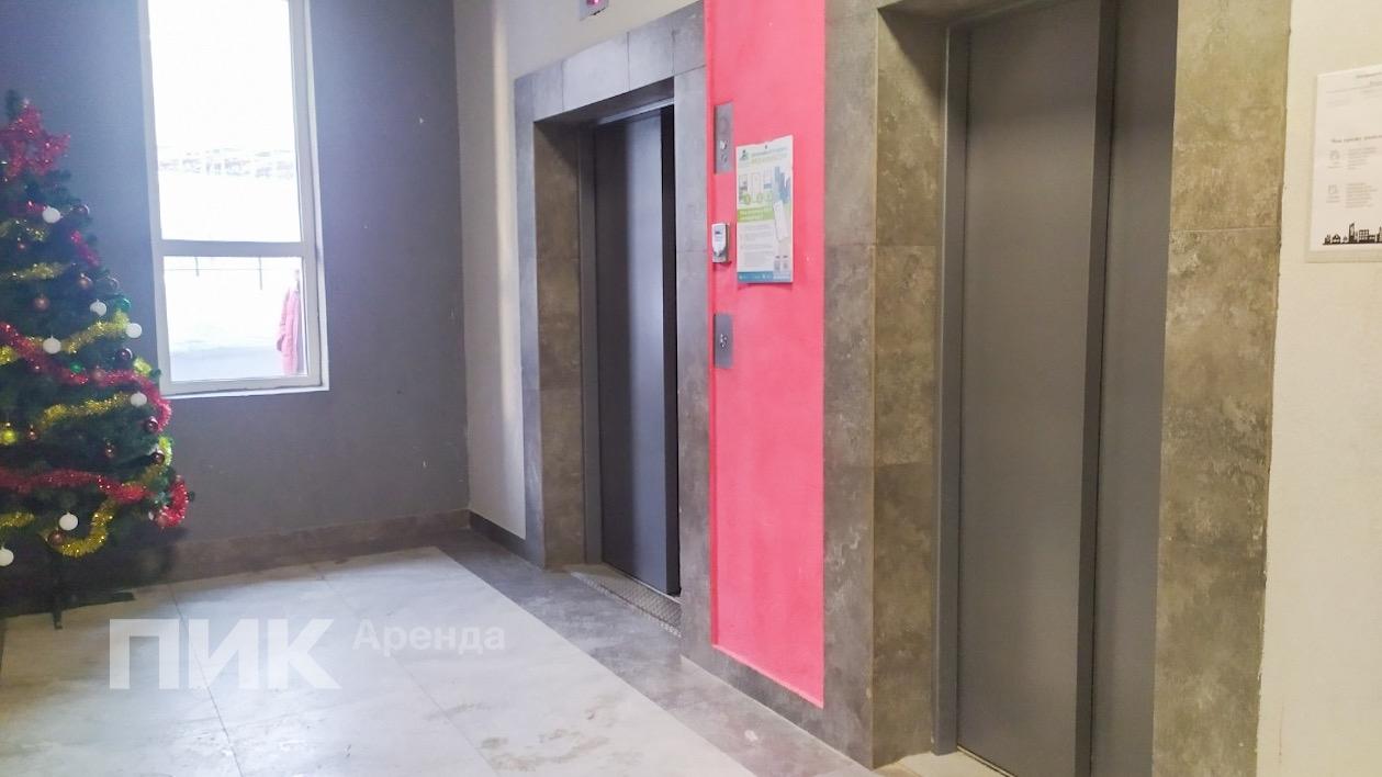 2-к. квартира, 37 м², 74 000 ₽/мес — фото № 13