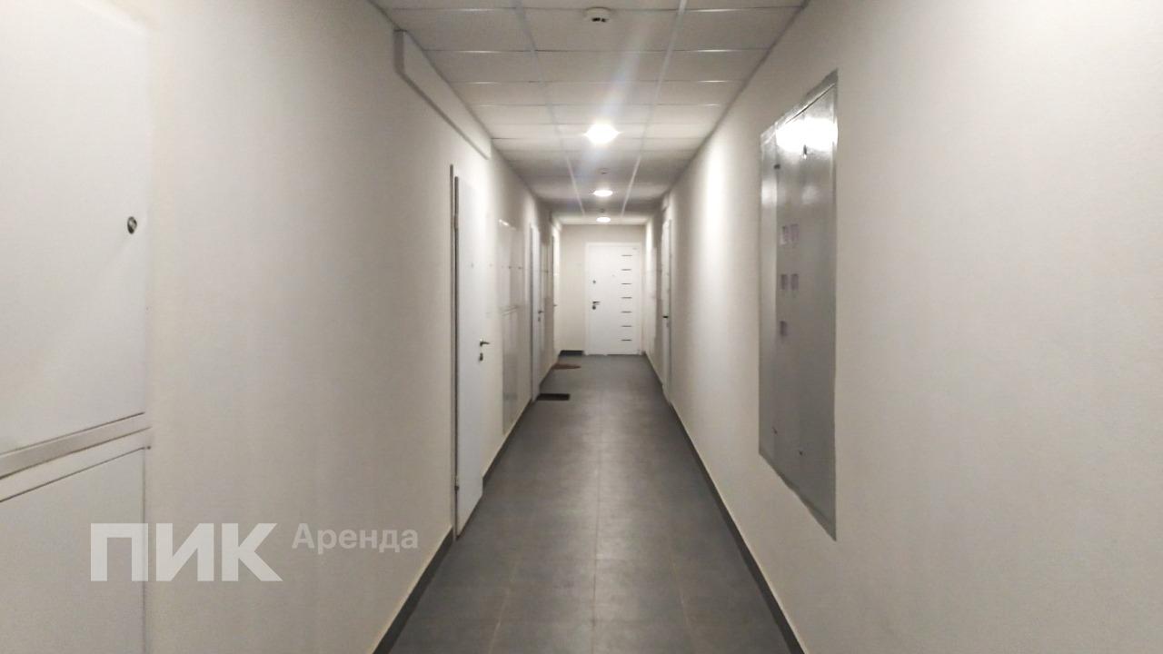 1-к. квартира, 34.1 м², 50 000 ₽/мес — фото № 11