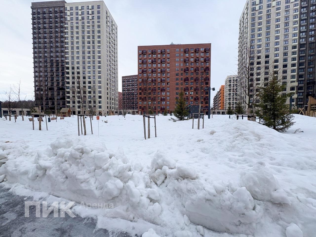 1-к. квартира, 33 м², 65 900 ₽/мес — фото № 12