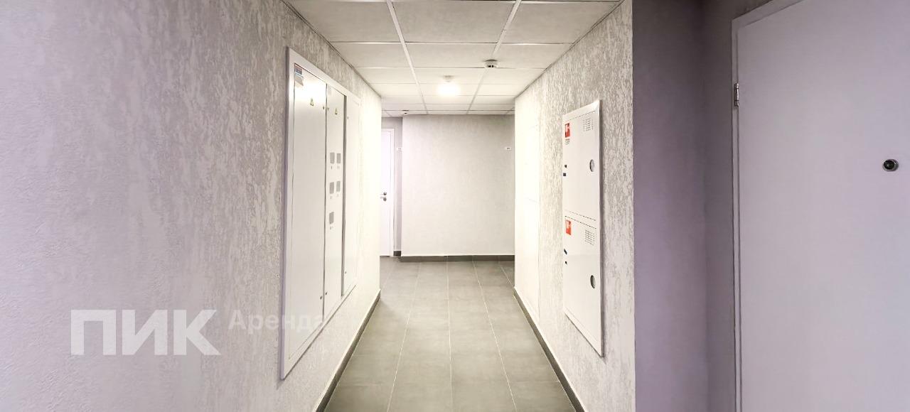 1-к. квартира, 33 м², 65 000 ₽/мес — фото № 11