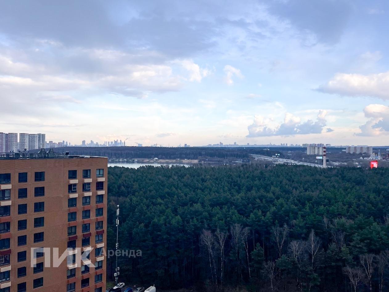 1-к. квартира, 35 м², 65 900 ₽/мес — фото № 17