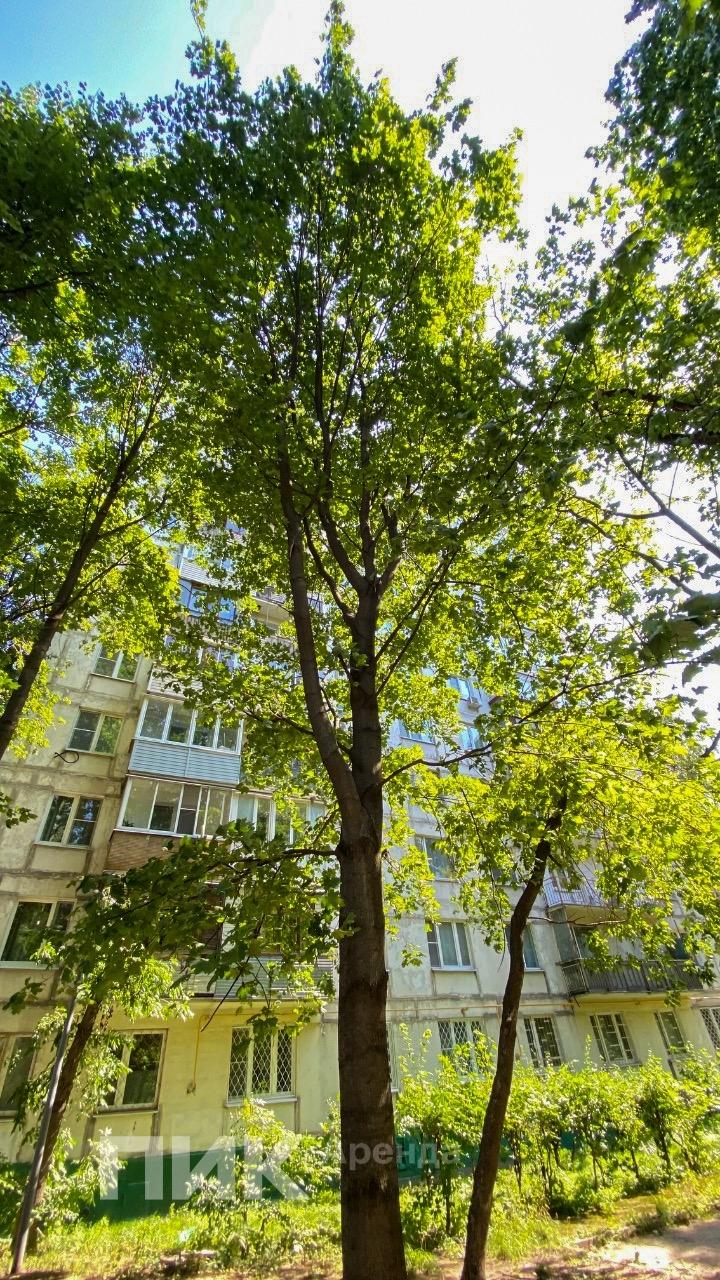 2-к. квартира, 37.6 м², 63 600 ₽/мес — фото № 14