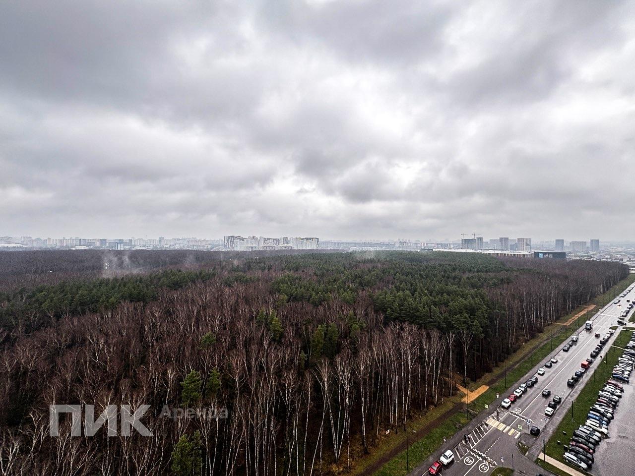 2-к. квартира, 64.7 м², 88 000 ₽/мес — фото № 17