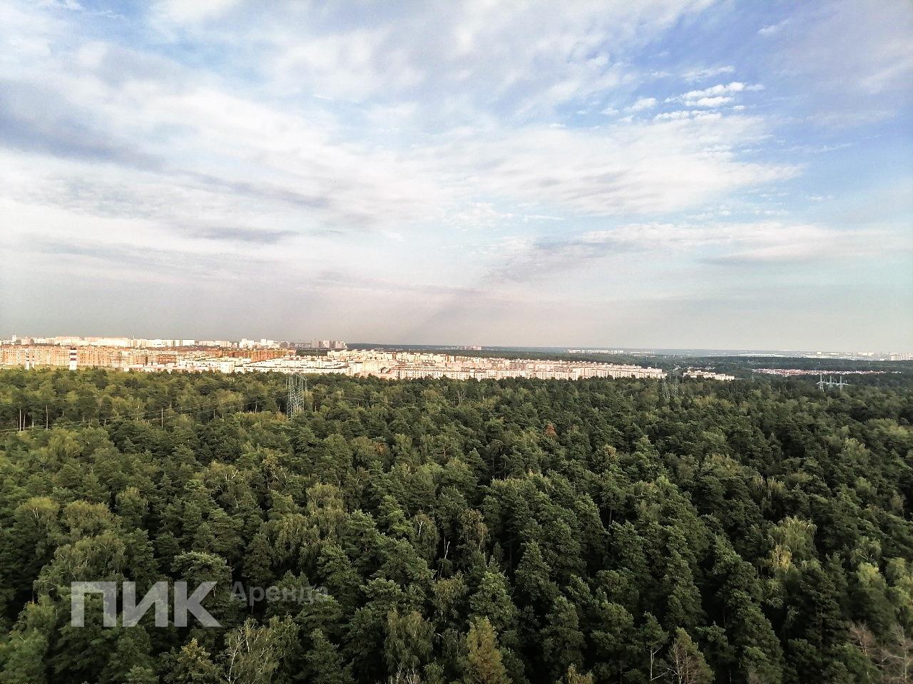 студия, 26.9 м², 40 500 ₽/мес — фото № 11