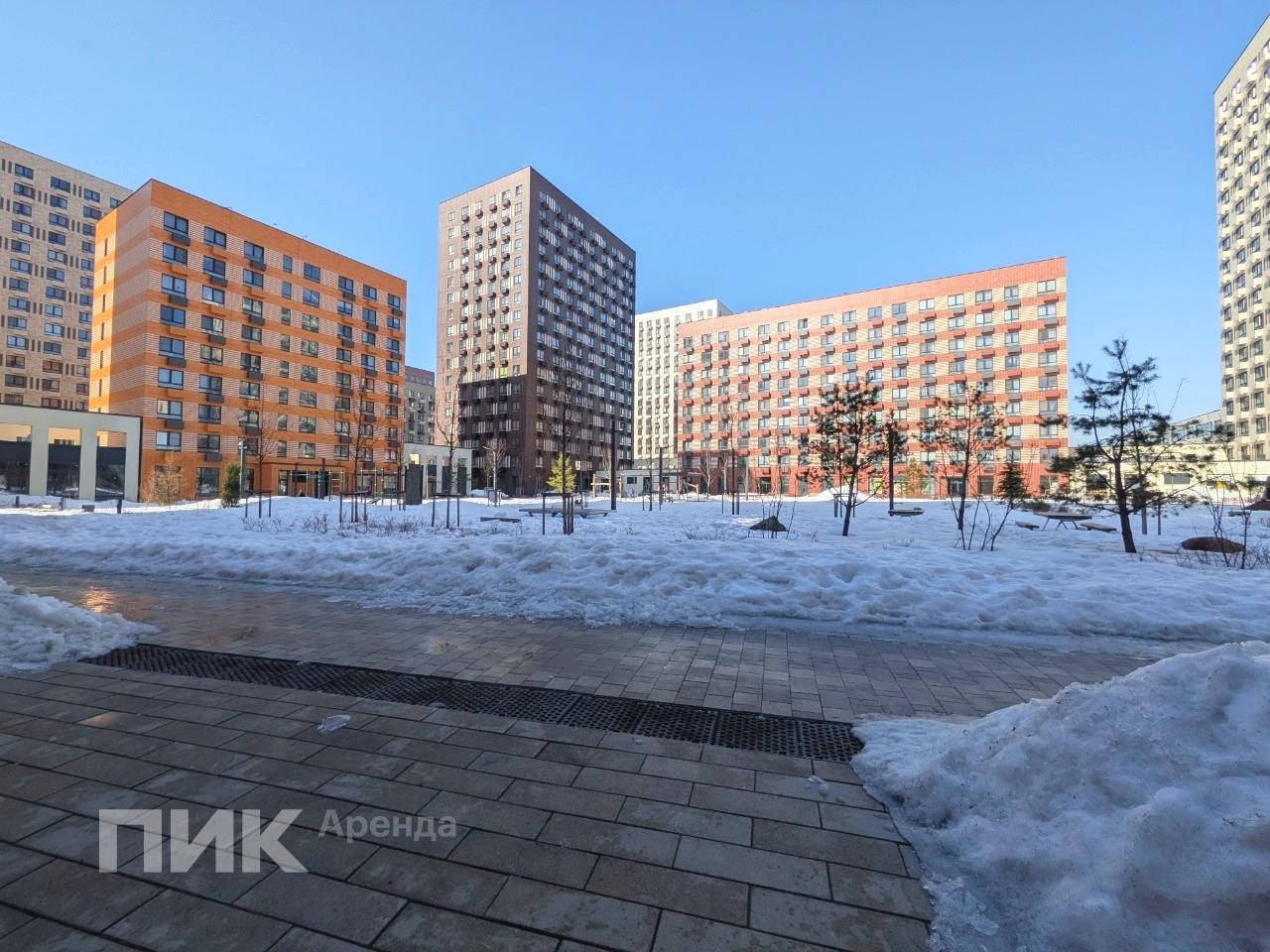 1-к. квартира, 35.5 м², 50 000 ₽/мес — фото № 17