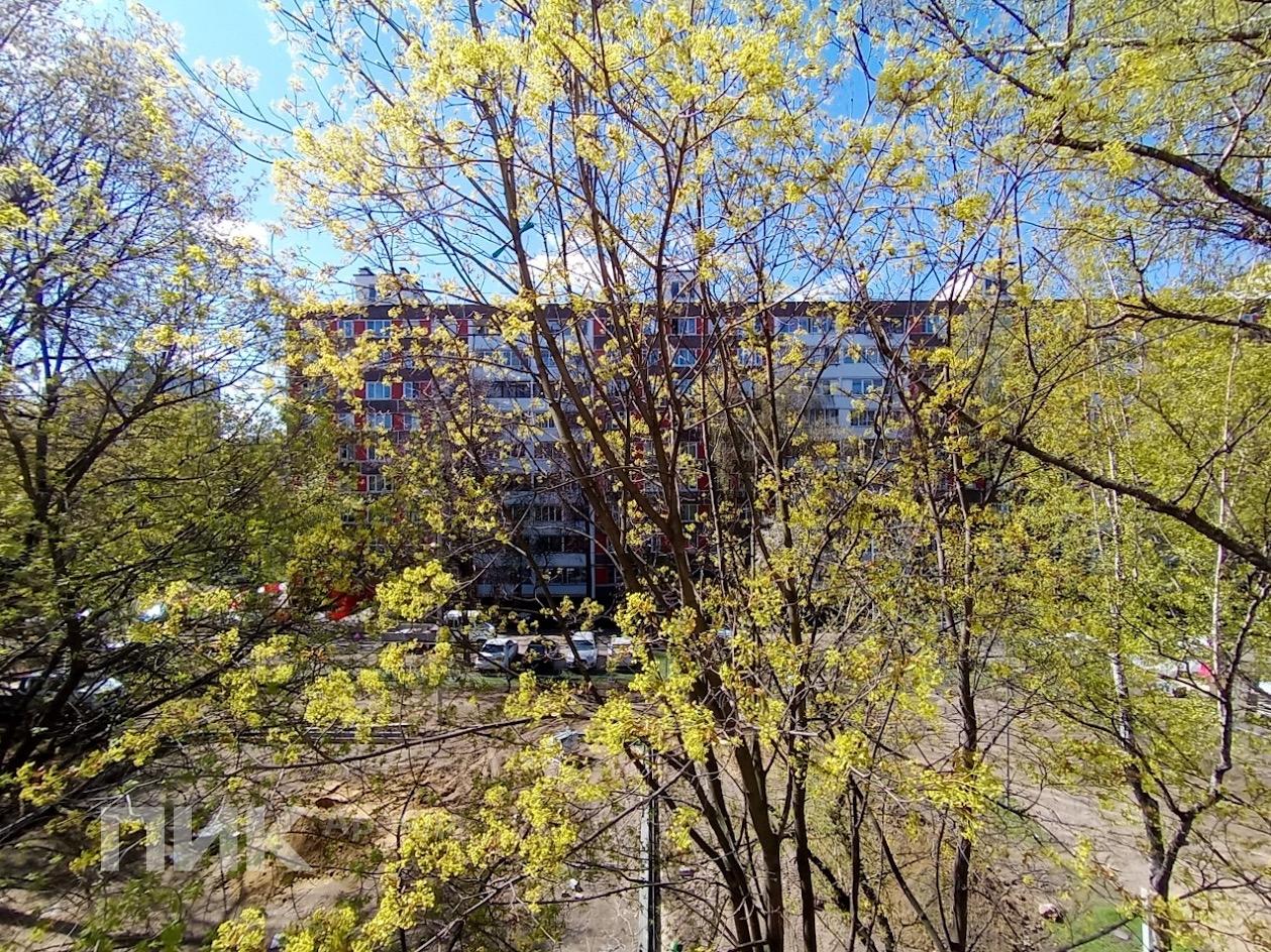 1-к. квартира, 29.2 м², 57 300 ₽/мес — фото № 15