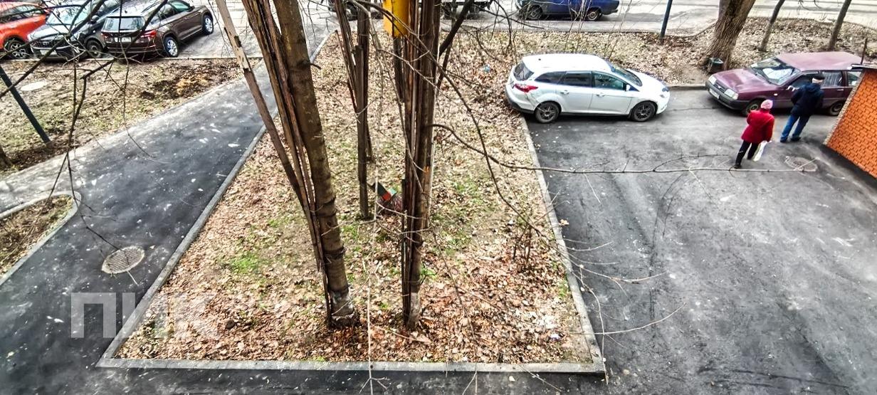 1-к. квартира, 32 м², 63 500 ₽/мес — фото № 15