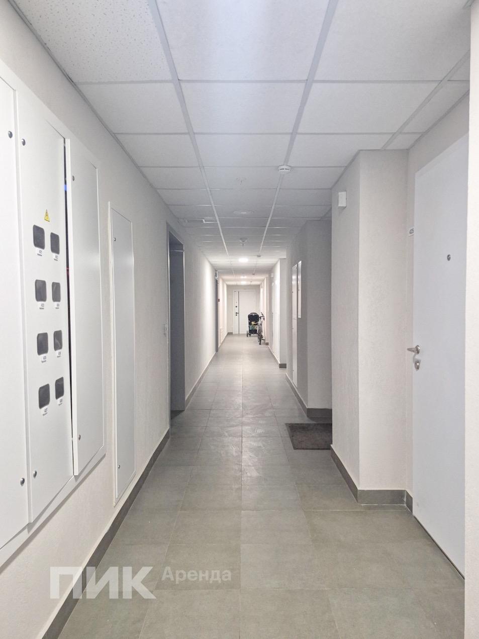 1-к. квартира, 27 м², 57 100 ₽/мес — фото № 9