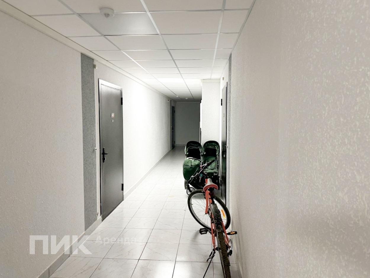 1-к. квартира, 36.2 м², 25 200 ₽/мес — фото № 8