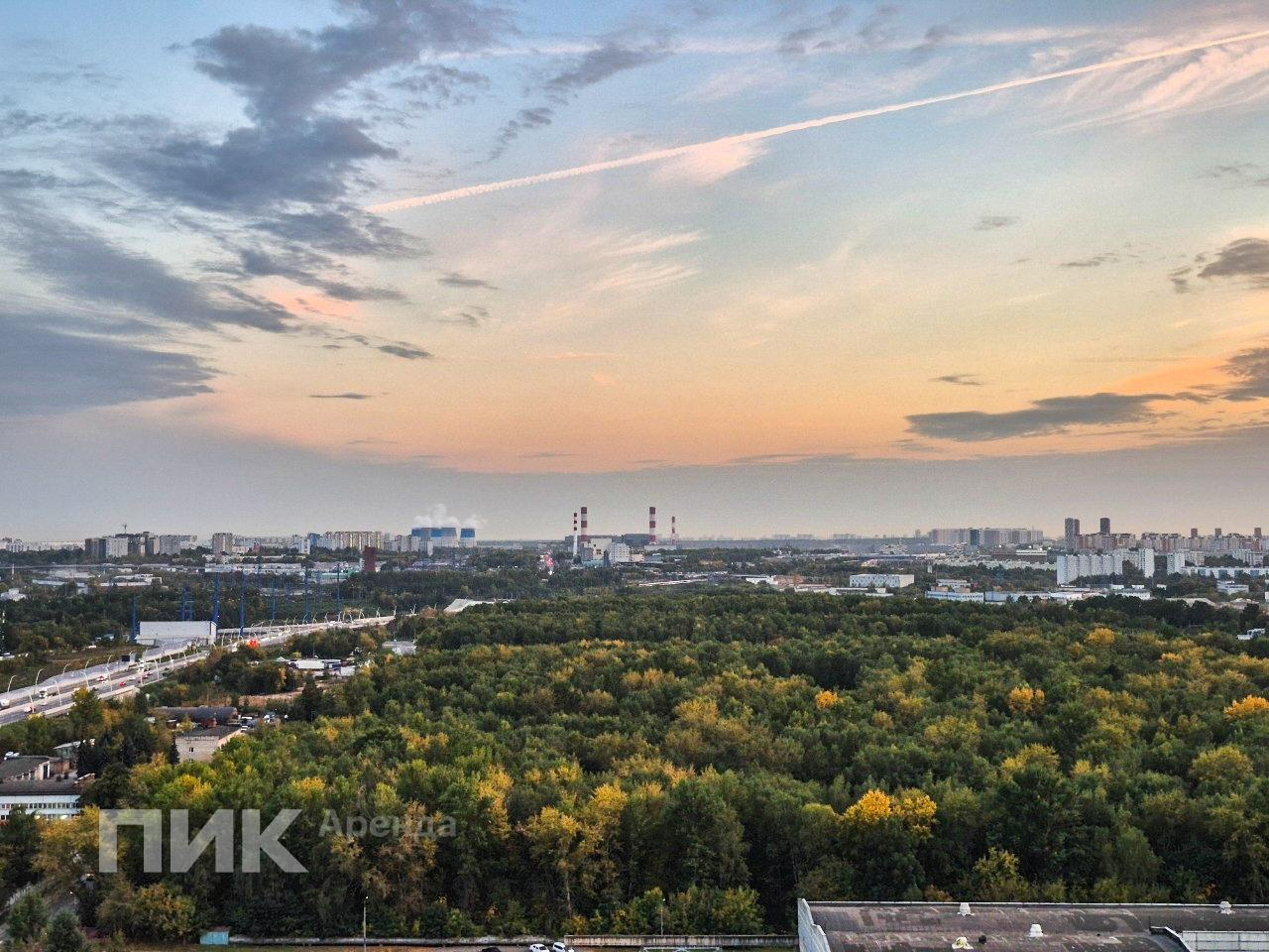 студия, 19.6 м², 55 000 ₽/мес — фото № 12