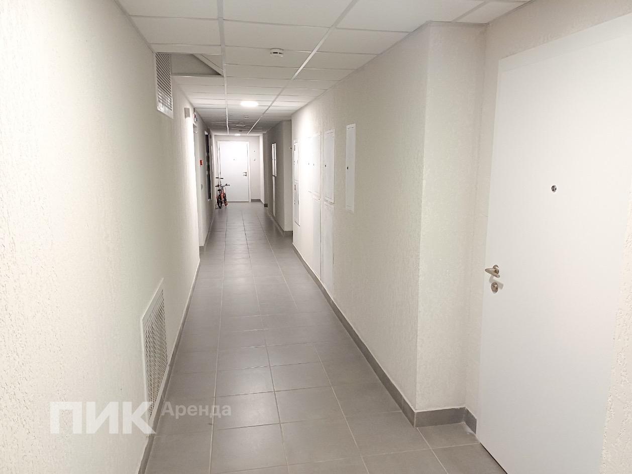 1-к. квартира, 36 м², 26 800 ₽/мес — фото № 12