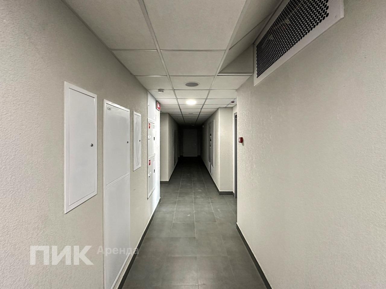 1-к. квартира, 31.9 м², 60 000 ₽/мес — фото № 14