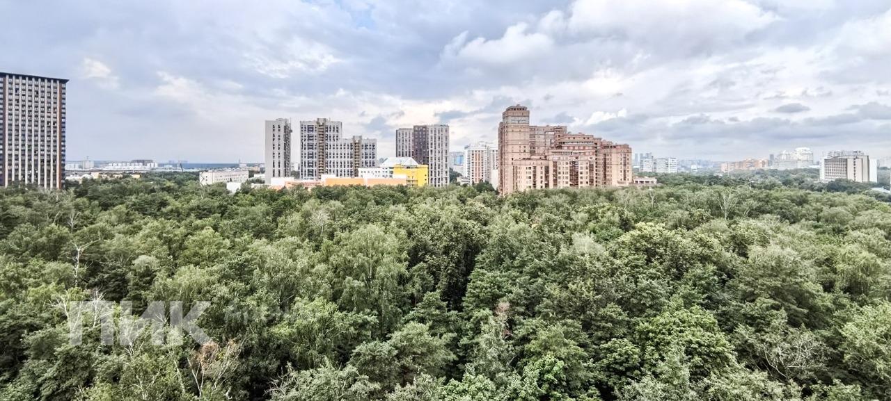 1-к. квартира, 51 м², 125 500 ₽/мес — фото № 22