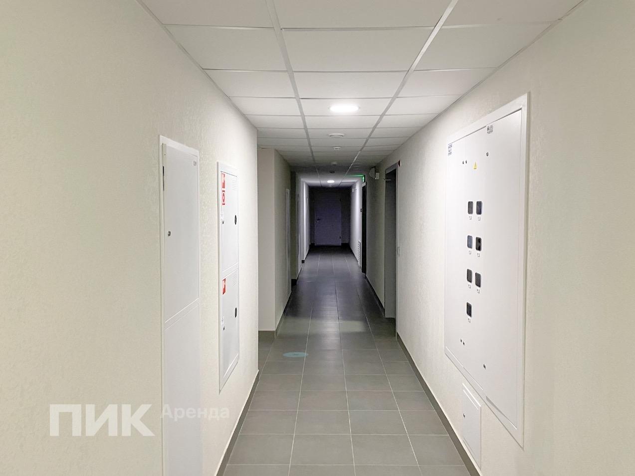 1-к. квартира, 31.6 м², 63 500 ₽/мес — фото № 11