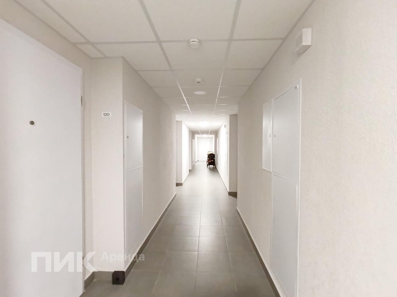 1-к. квартира, 33.3 м², 45 000 ₽/мес — фото № 11