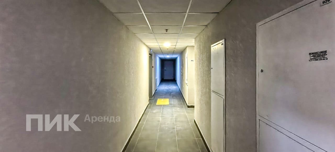 студия, 20 м², 67 600 ₽/мес — фото № 12