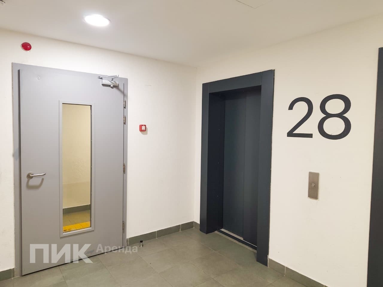 студия, 24 м², 55 300 ₽/мес — фото № 12
