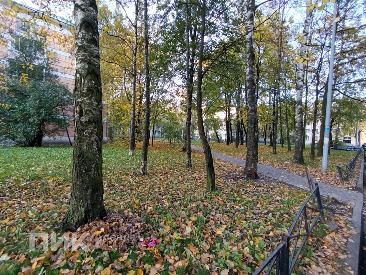 2-к. квартира, 45.5 м², 55 000 ₽/мес — фото № 12