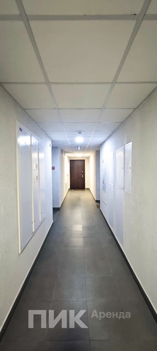 3-к. квартира, 55 м², 60 500 ₽/мес — фото № 14