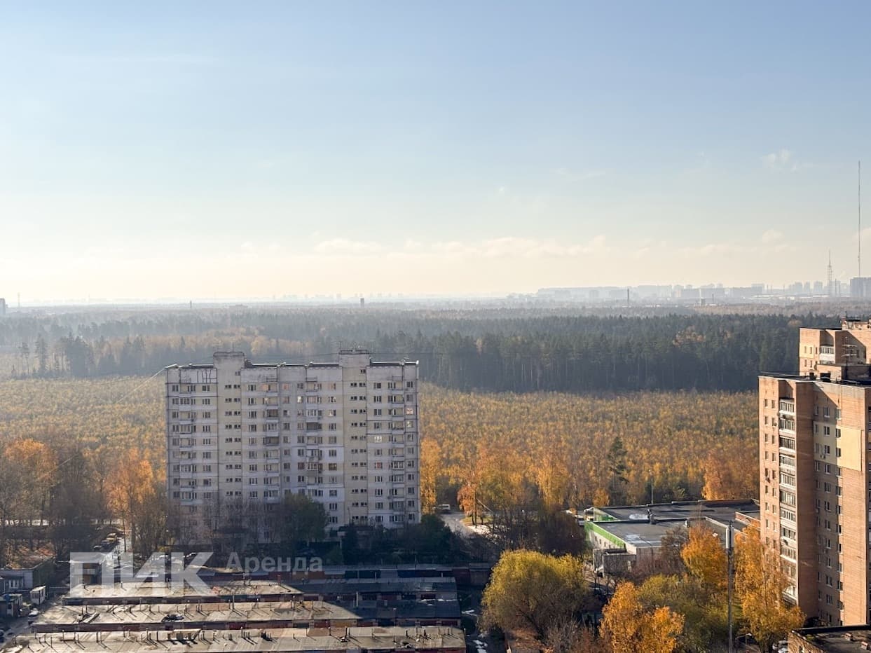 2-к. квартира, 76 м², 64 900 ₽/мес — фото № 16