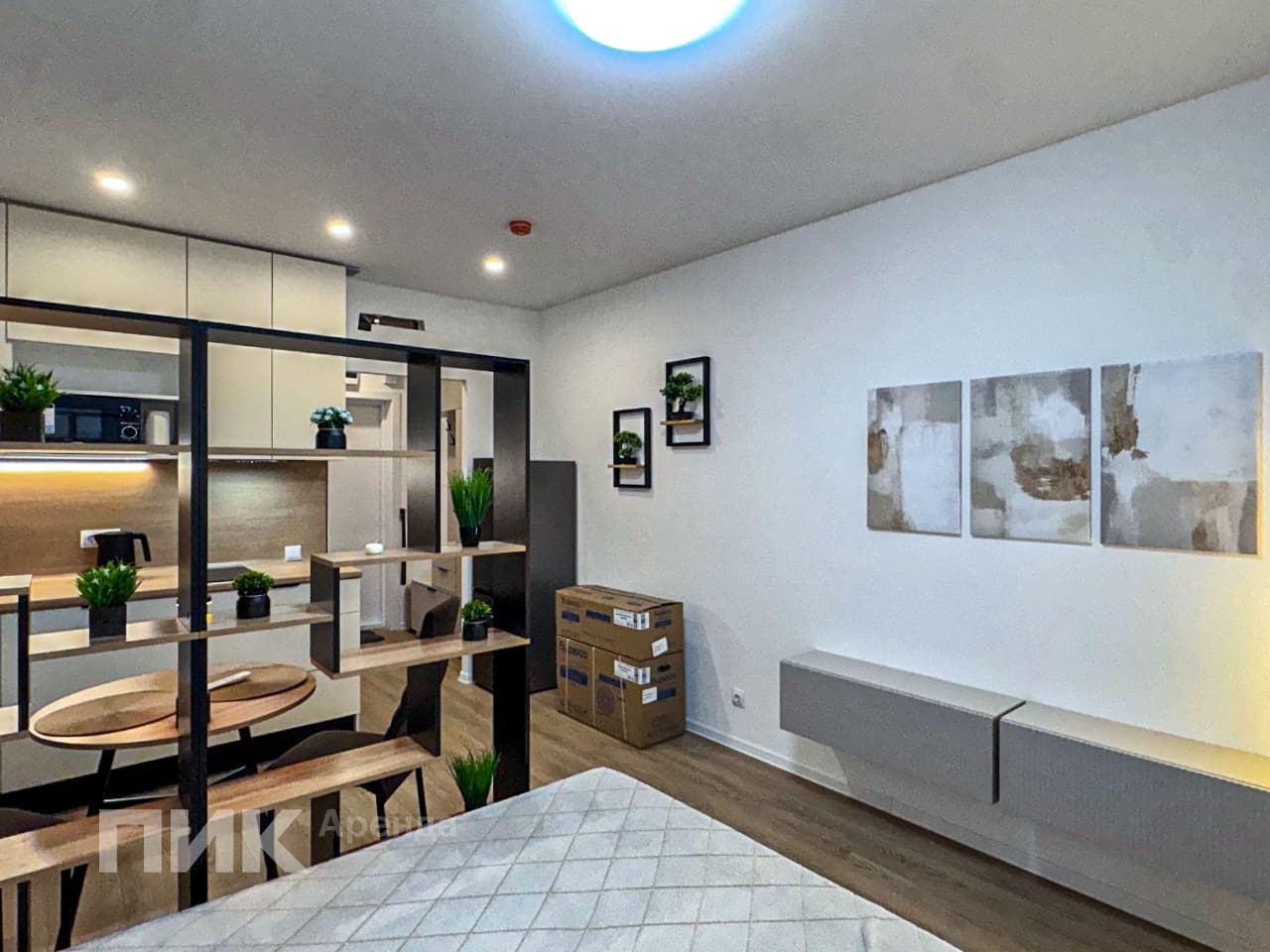 студия, 20 м², 55 000 ₽/мес — фото № 4