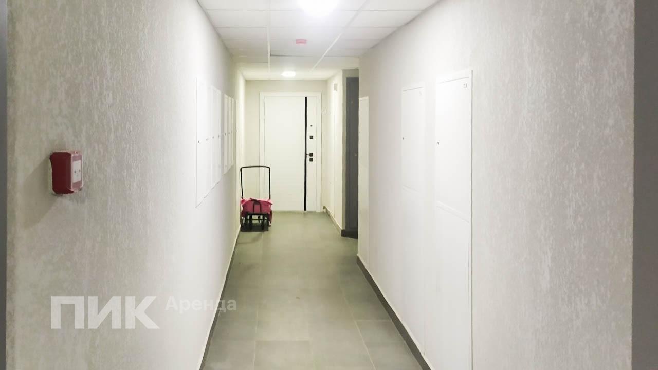 студия, 23.6 м², 55 000 ₽/мес — фото № 12 студия, 23.6 м², 55 000 ₽/мес — фото № 12