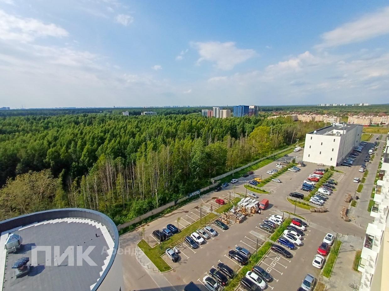 2-к. квартира, 53.9 м², 54 900 ₽/мес — фото № 15 2-к. квартира, 53.9 м², 54 900 ₽/мес — фото № 15