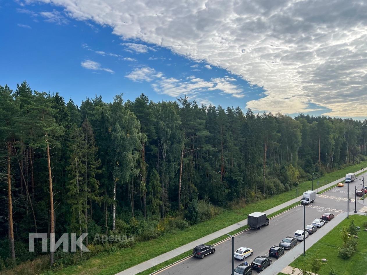 студия, 24 м², 43 900 ₽/мес — фото № 13 студия, 24 м², 43 900 ₽/мес — фото № 13