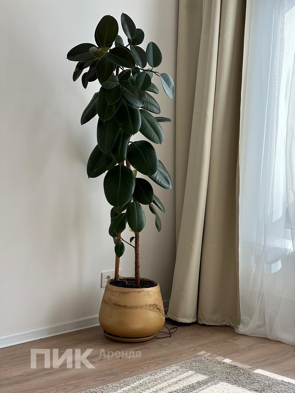 1-к. квартира, 33.4 м², 75 000 ₽/мес — фото № 7 1-к. квартира, 33.4 м², 75 000 ₽/мес — фото № 7